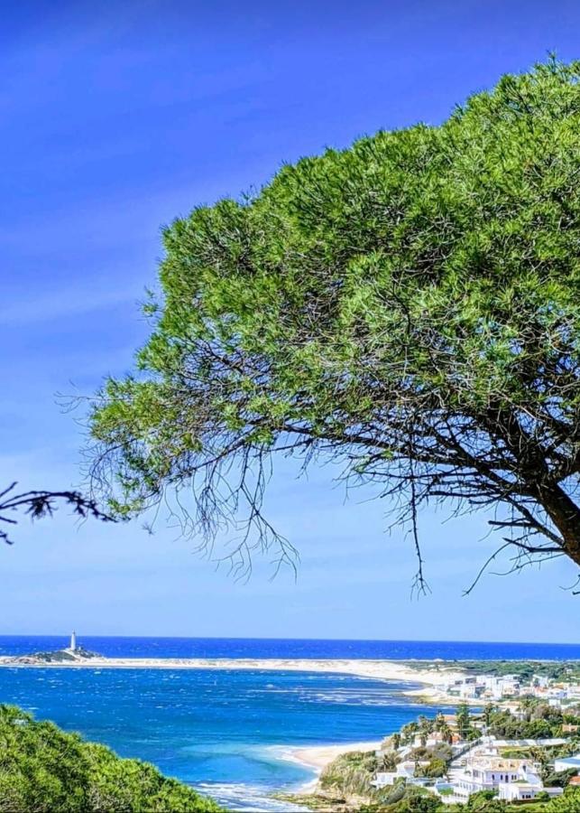 Finca El Abuelo Manuel Vejer de la Frontera Zewnętrze zdjęcie