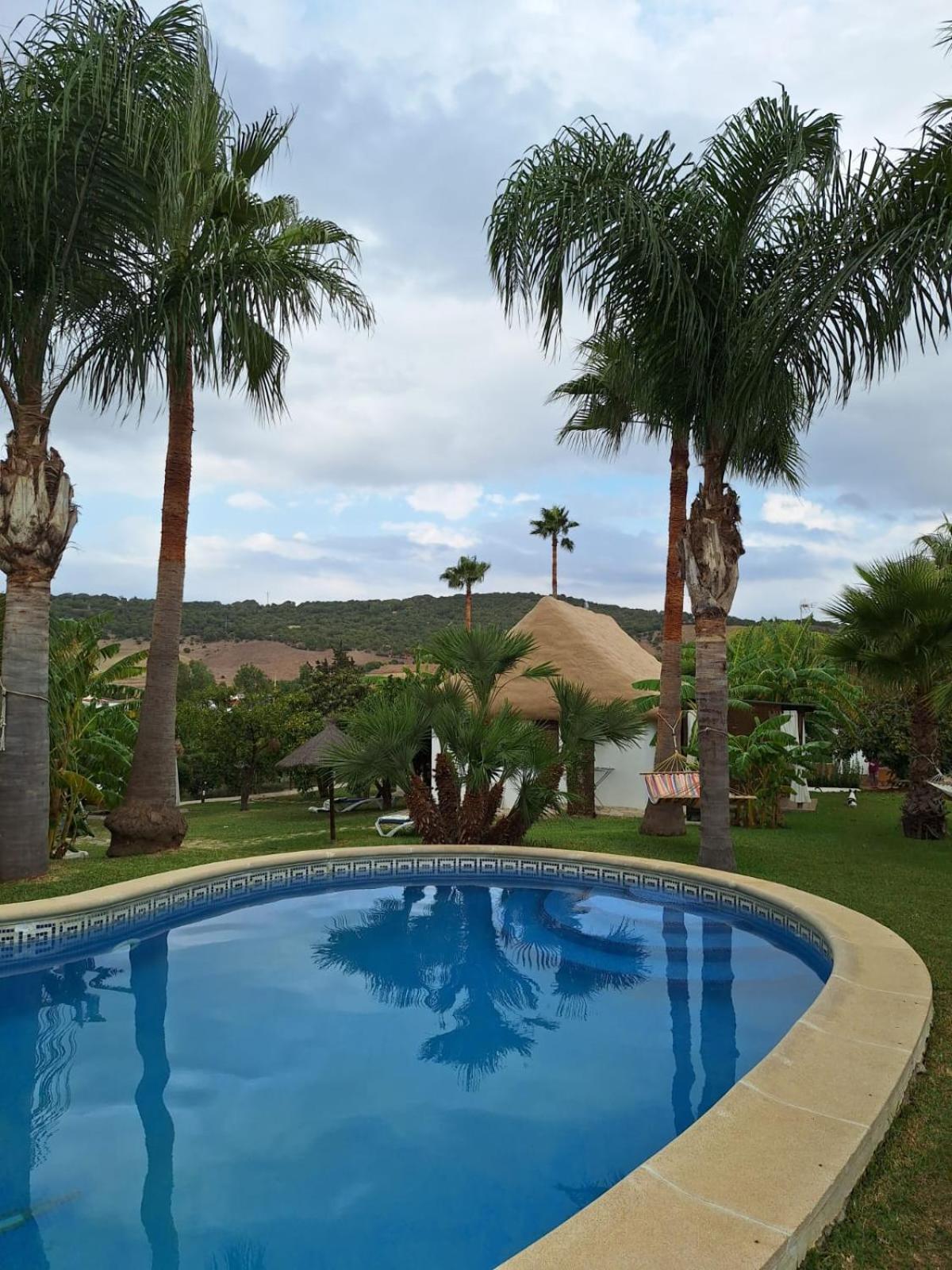 Finca El Abuelo Manuel Vejer de la Frontera Zewnętrze zdjęcie